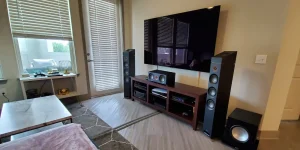 home entertainment living room