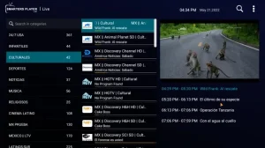 person watching smart tv
